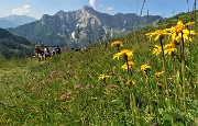 Anello Laghi di Porcile,Passo di Tartano, Cima-Passo di Lemma da Baita del Camoscio (28 giu.2020)- FOTOGALLERY